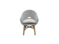Cascade Dining Arm Chair + Cushion HUC25166